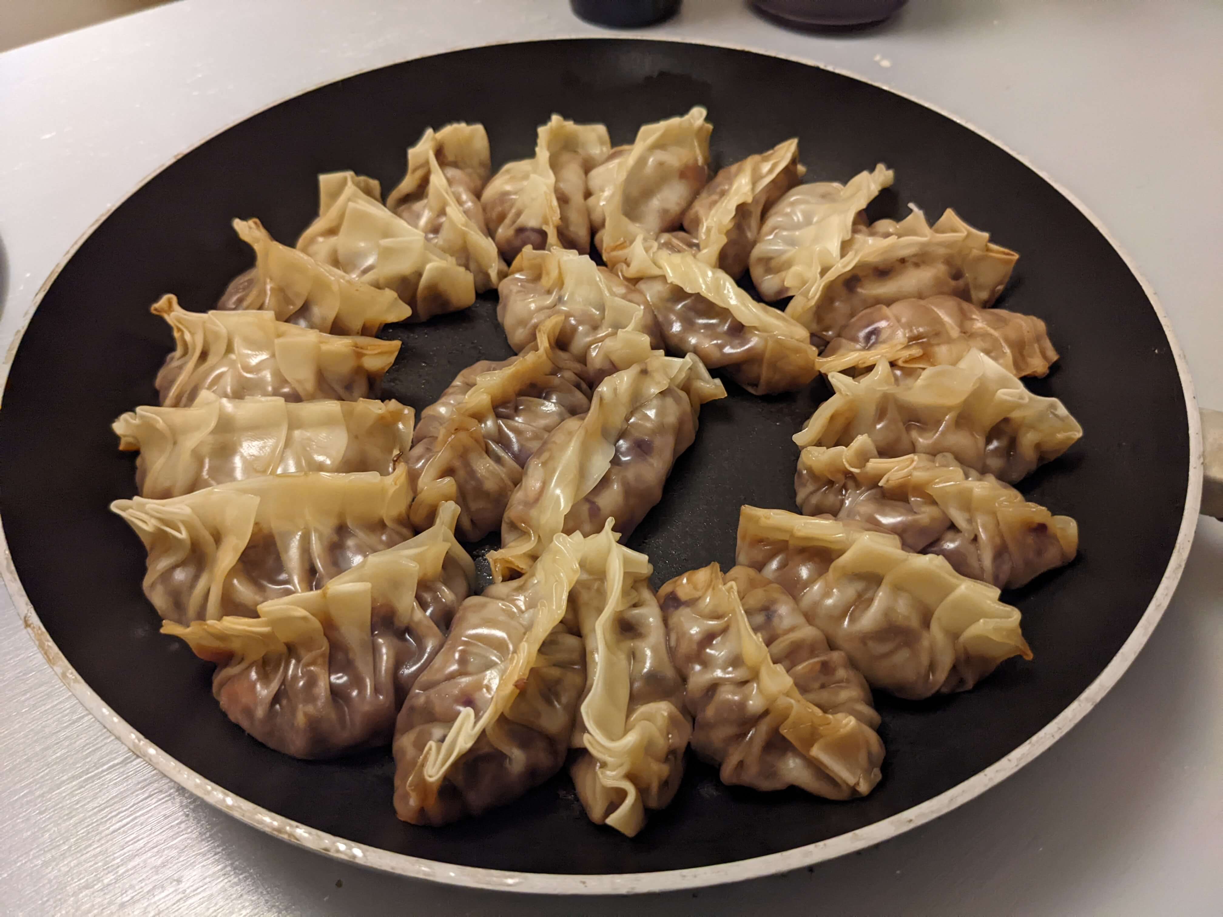 Gyoza Dumplings